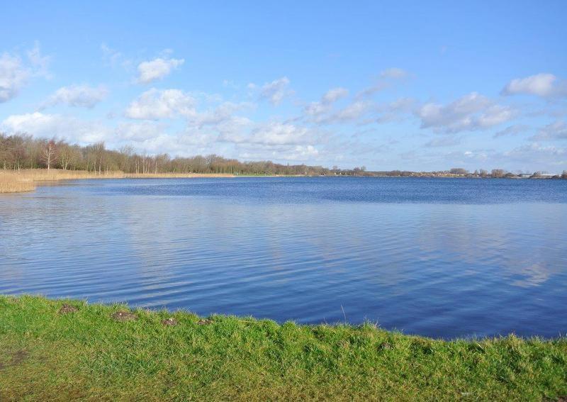 Zeelicht Vila Noordwijkerhout Exterior foto